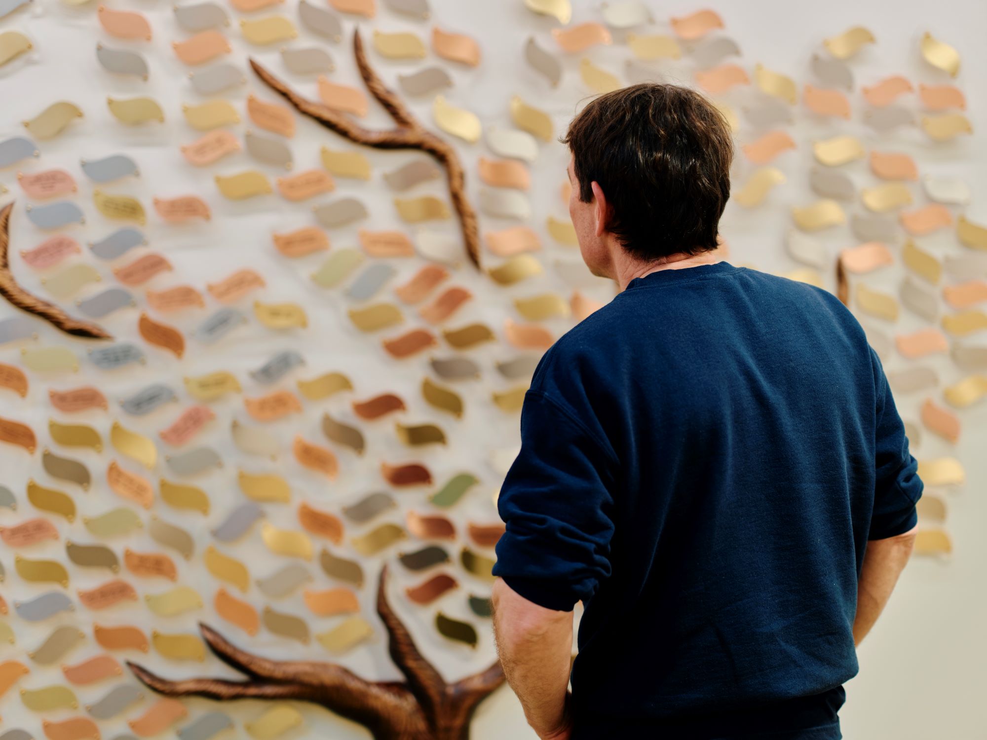 Image of man looking at the memory tree